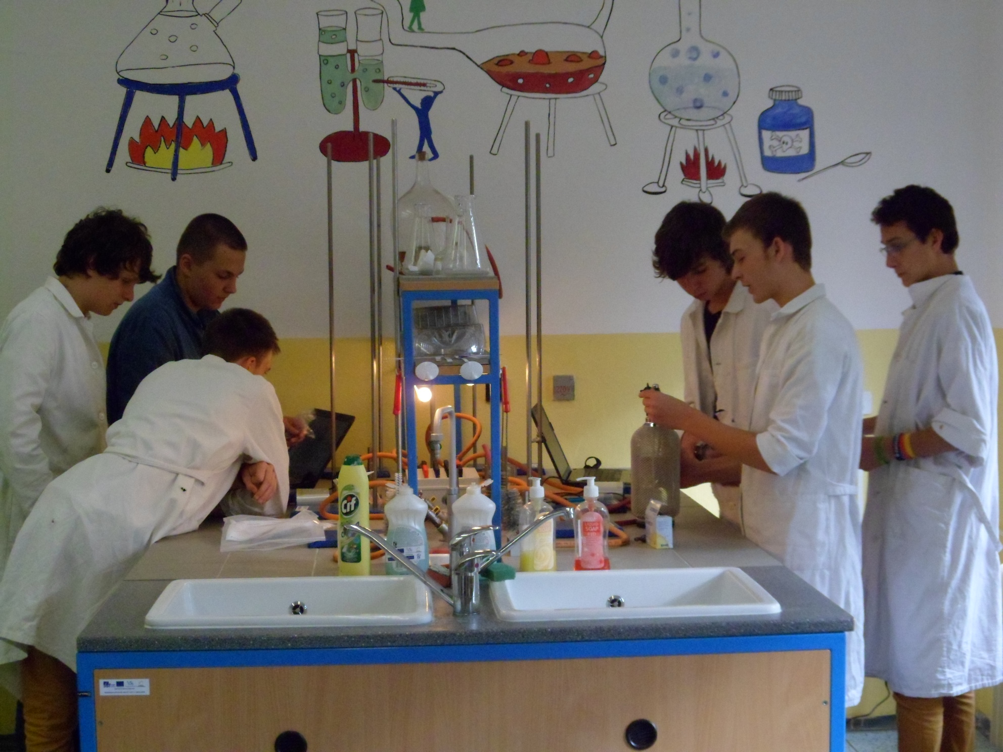 práce skupin v laboratoři